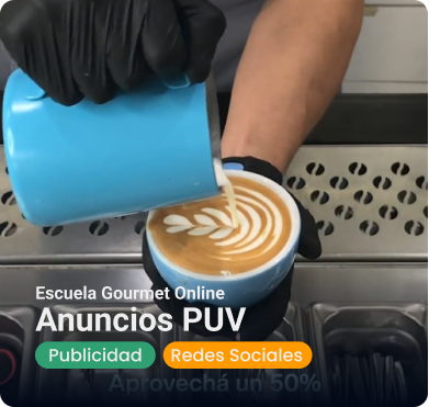 Anuncios PUV